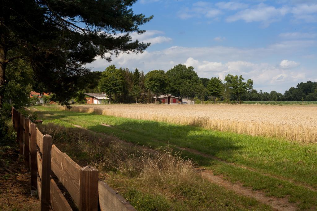 Ferienhaus Heideland Winsen Aller Meißendorf Szoba fotó